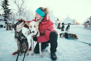 girl in red jacket kneeling down and stroking lead husky dogs in dog sledding team