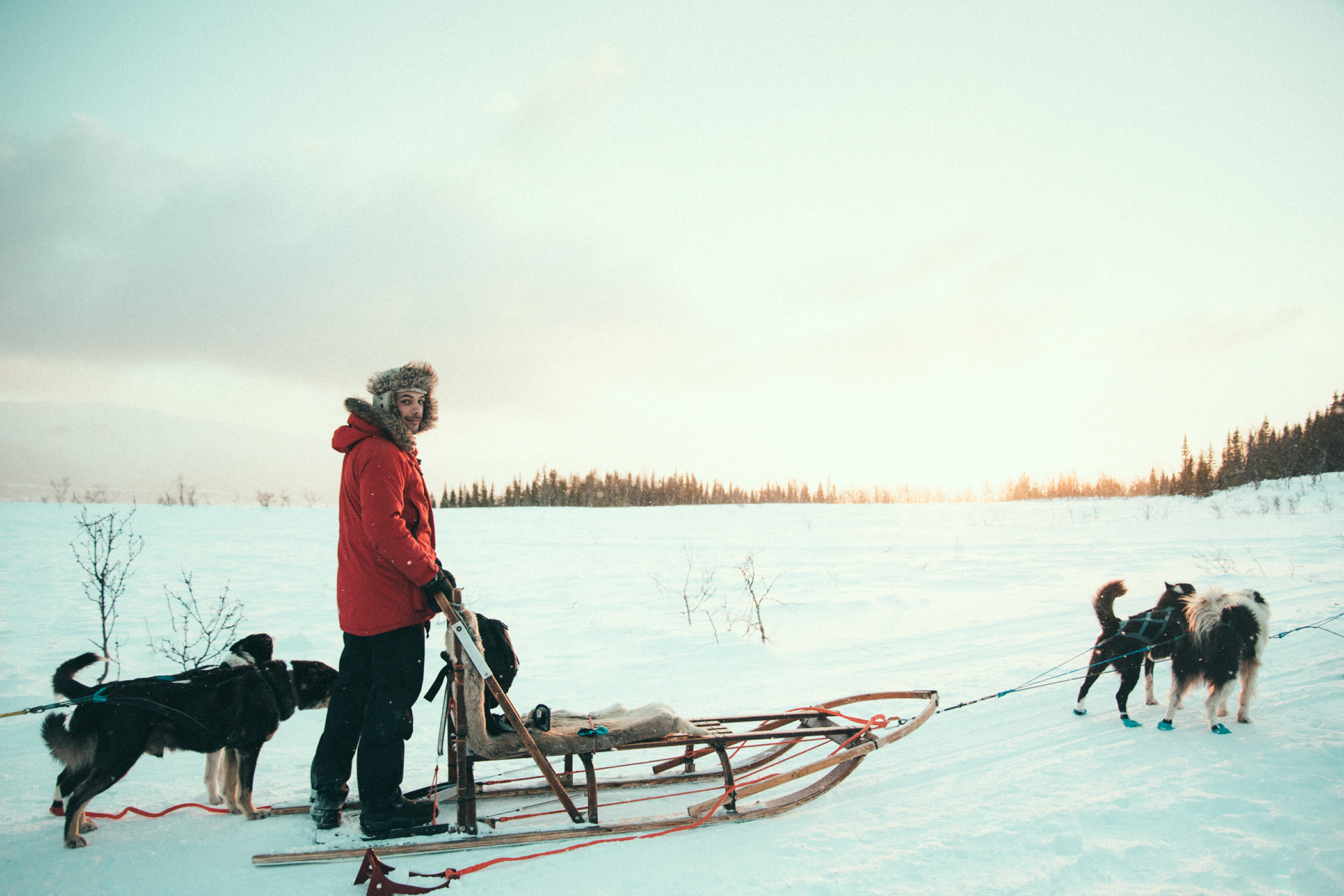 share the sled in pairs, Dog sledding in Norway