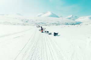 musher waving whilst driving dog sled mountain background Northern Norway on weeklong dog sledding expedition