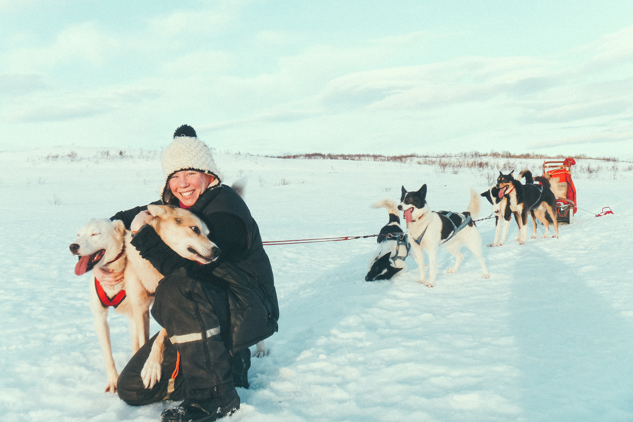 woman cuddling lead husky in dog sledding team in norway