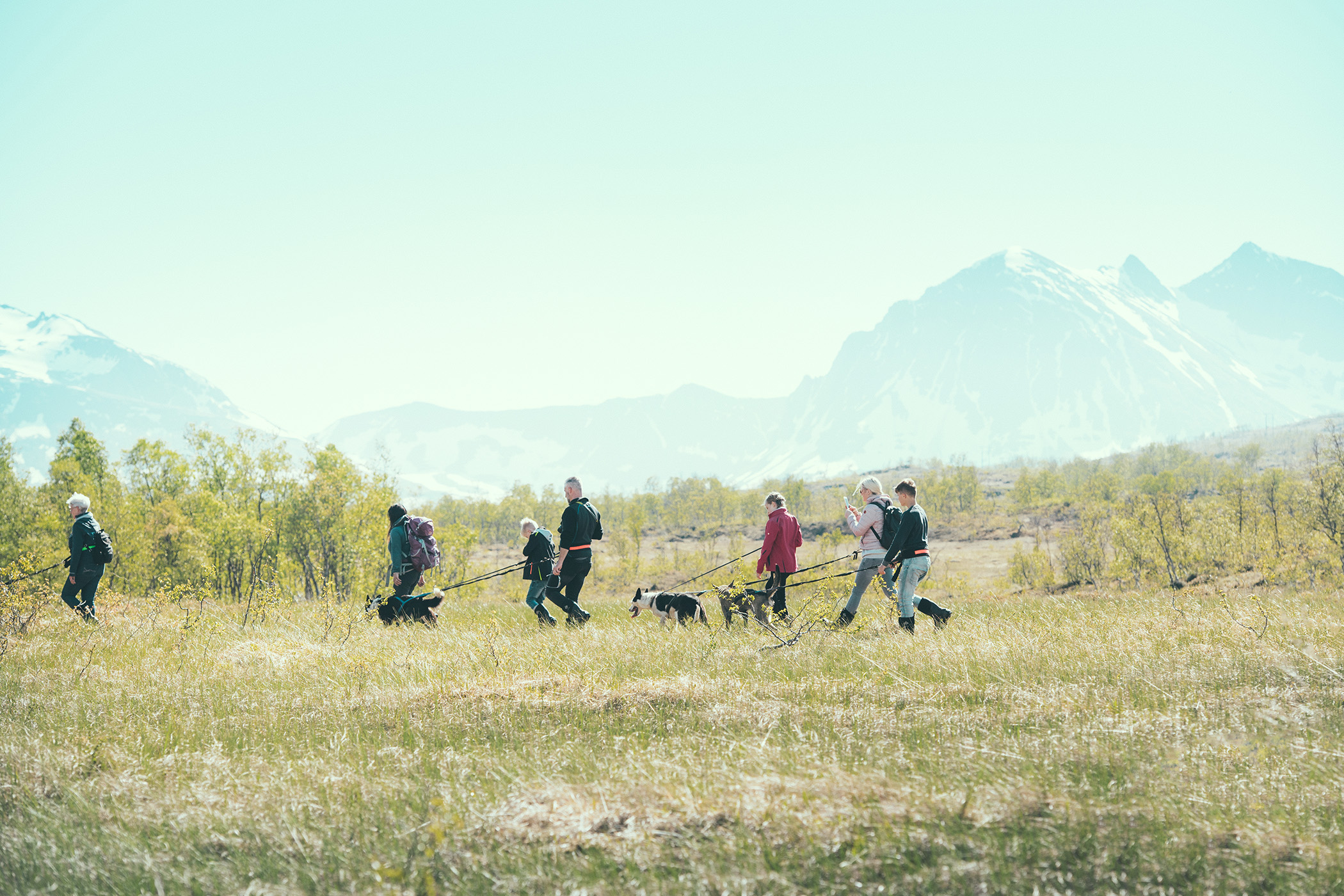 hiking with huskies