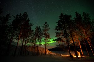 Campfire in the forest with northern lights