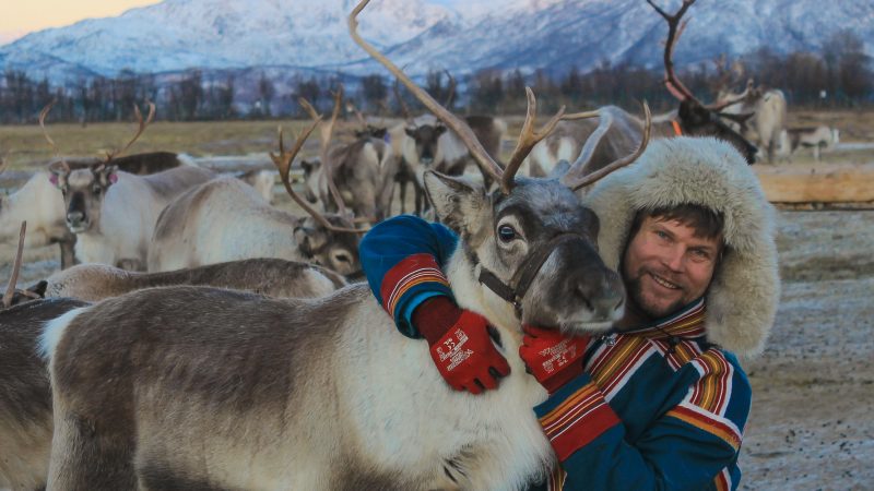 Reindeer Feeding and Sami Experience