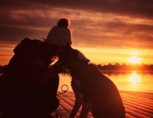 Rehomed husky Bailies bonding in the sunset