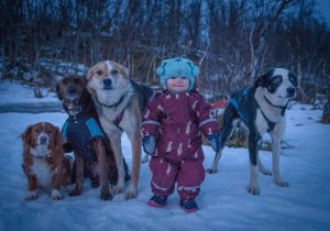 Baby and pack of dogs including rehomed alaskan huskies cognac and hangover