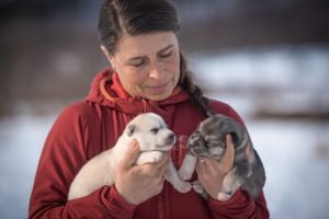 Hege with two little husky puppies