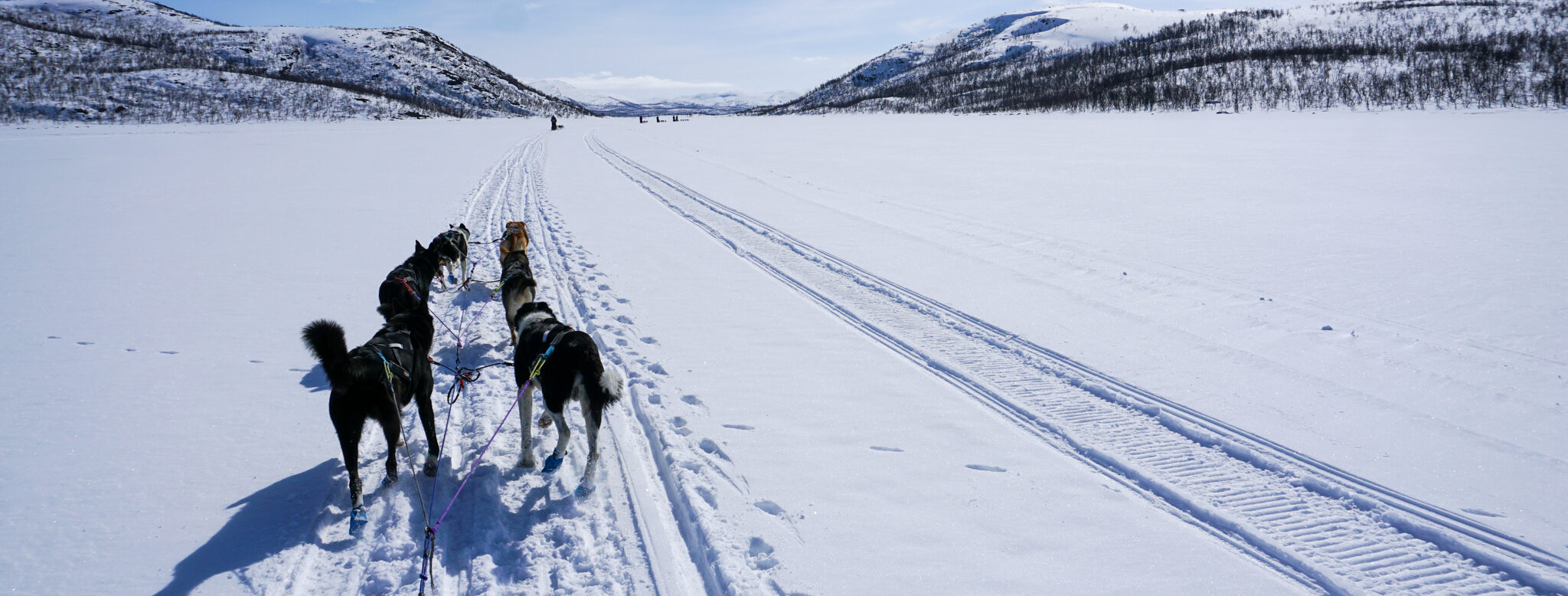 Weeklong Dog sledding Expedition Norway