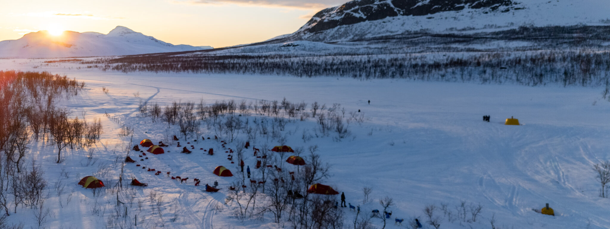 Weeklong dog sledding expedition Norway