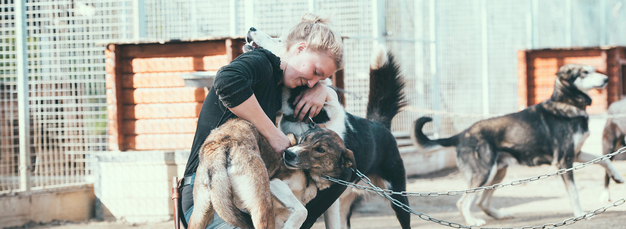 Kennel visit Tromsø 