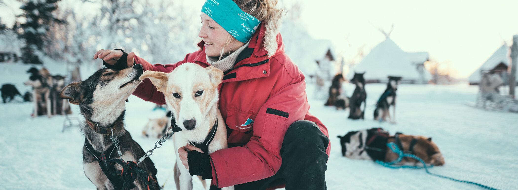 Rehoming dogs Tromsø