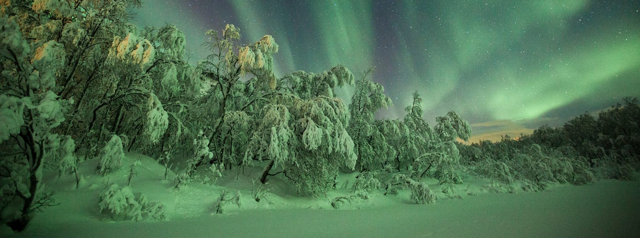 Small group Northern Lights Hunt Tromso