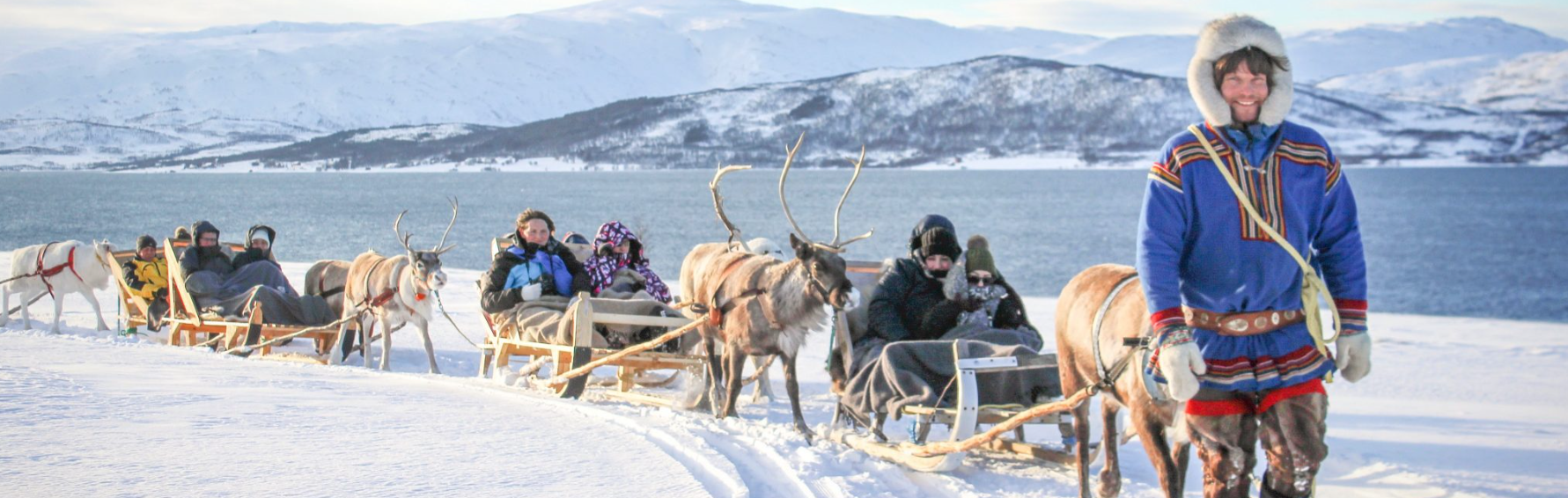 reindeer sledding tour tromsø