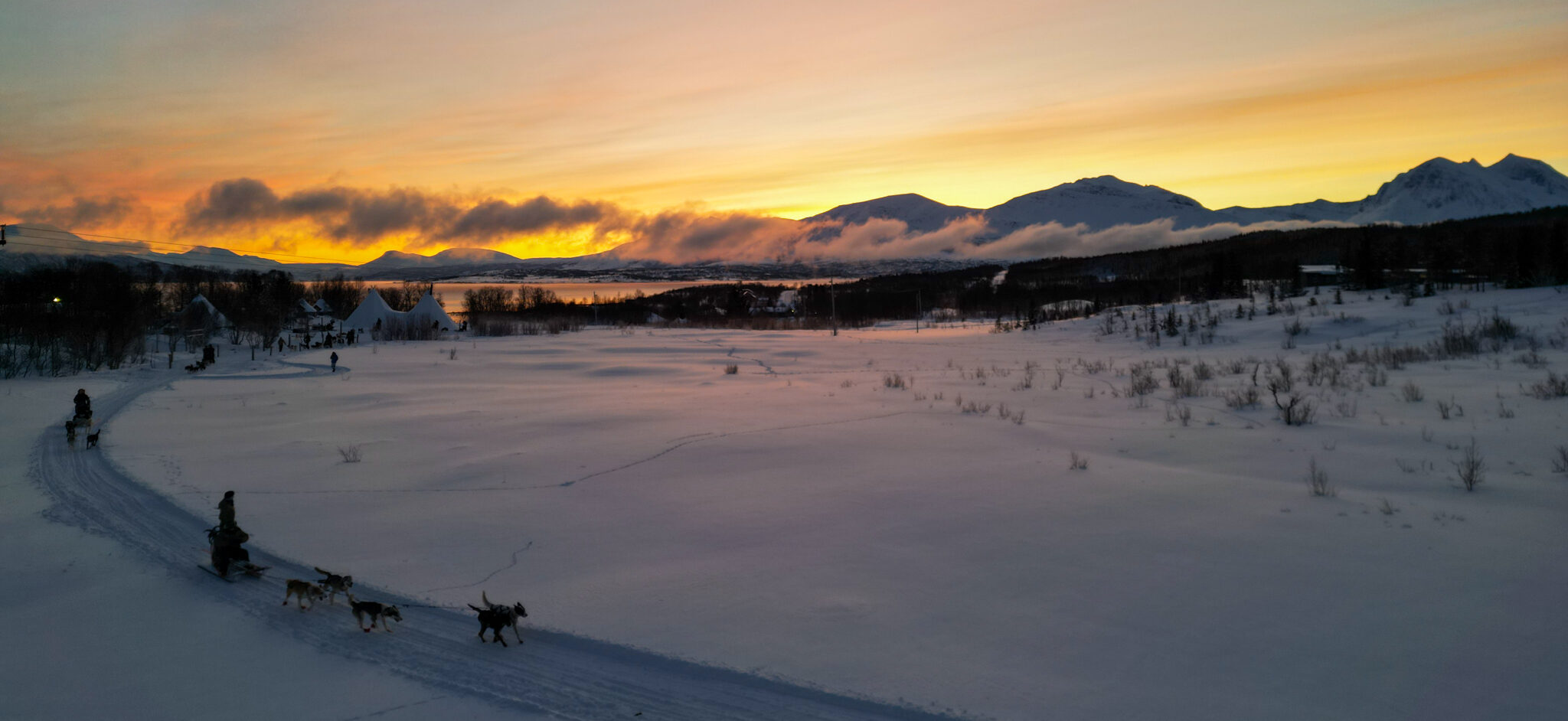 dog sledding Kvaløya