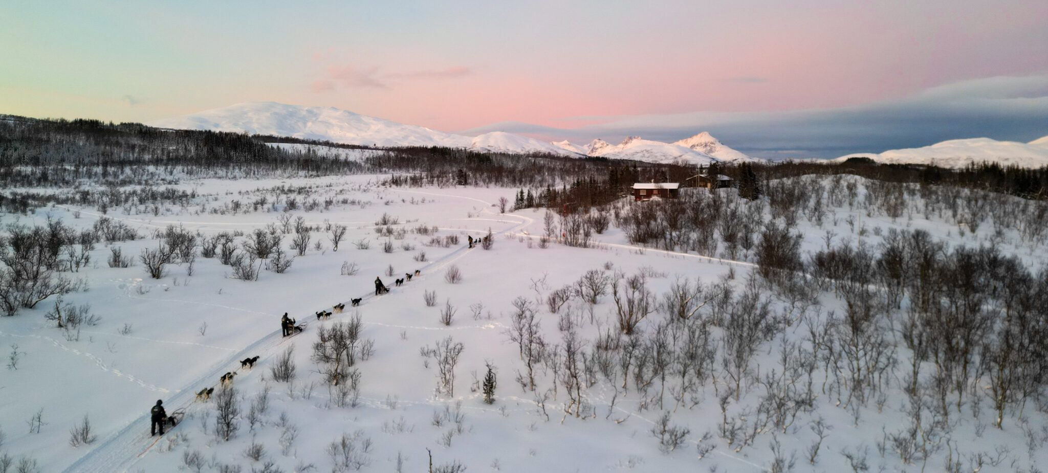 Dog sledding tromsø